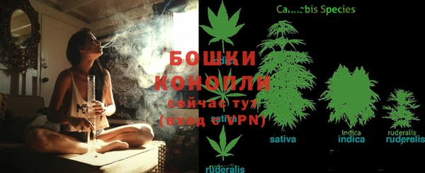 амф Липки