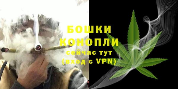 амф Липки