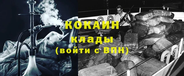 индика Лихославль
