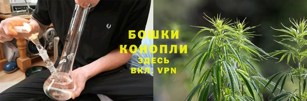 амф Липки